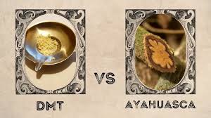 What is DMT, "Visual comparison of DMT and Ayahuasca, highlighting differences in consumption methods, effects, and cultural significance."