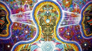 DMT alternatyva Lietuvoje – legalūs augaliniai ekstraktai gilioms patirtims ir sąmonės plėtimui be teisinių pasekmių.