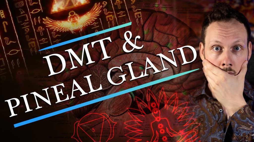 DMT and the Pineal Gland, "Illustration of the pineal gland in the brain, with abstract psychedelic patterns representing the effects of DMT on consciousness and spiritual awakening."
