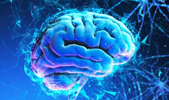 An illustration showing the effects of LSD on the brain, with highlights on serotonin receptors and neural pathways. The image depicts LSD interacting with serotonin receptors, particularly the 5-HT2A receptor, which plays a key role in altering mood, perception, and cognition. Neural connections are shown becoming more active and interconnected, symbolizing the enhanced communication between different areas of the brain during an LSD experience.