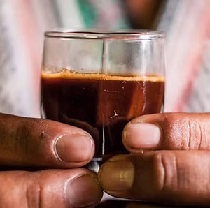 Ayahuasca tea served in a traditional clay cup, placed on a wooden table surrounded by jungle leaves.